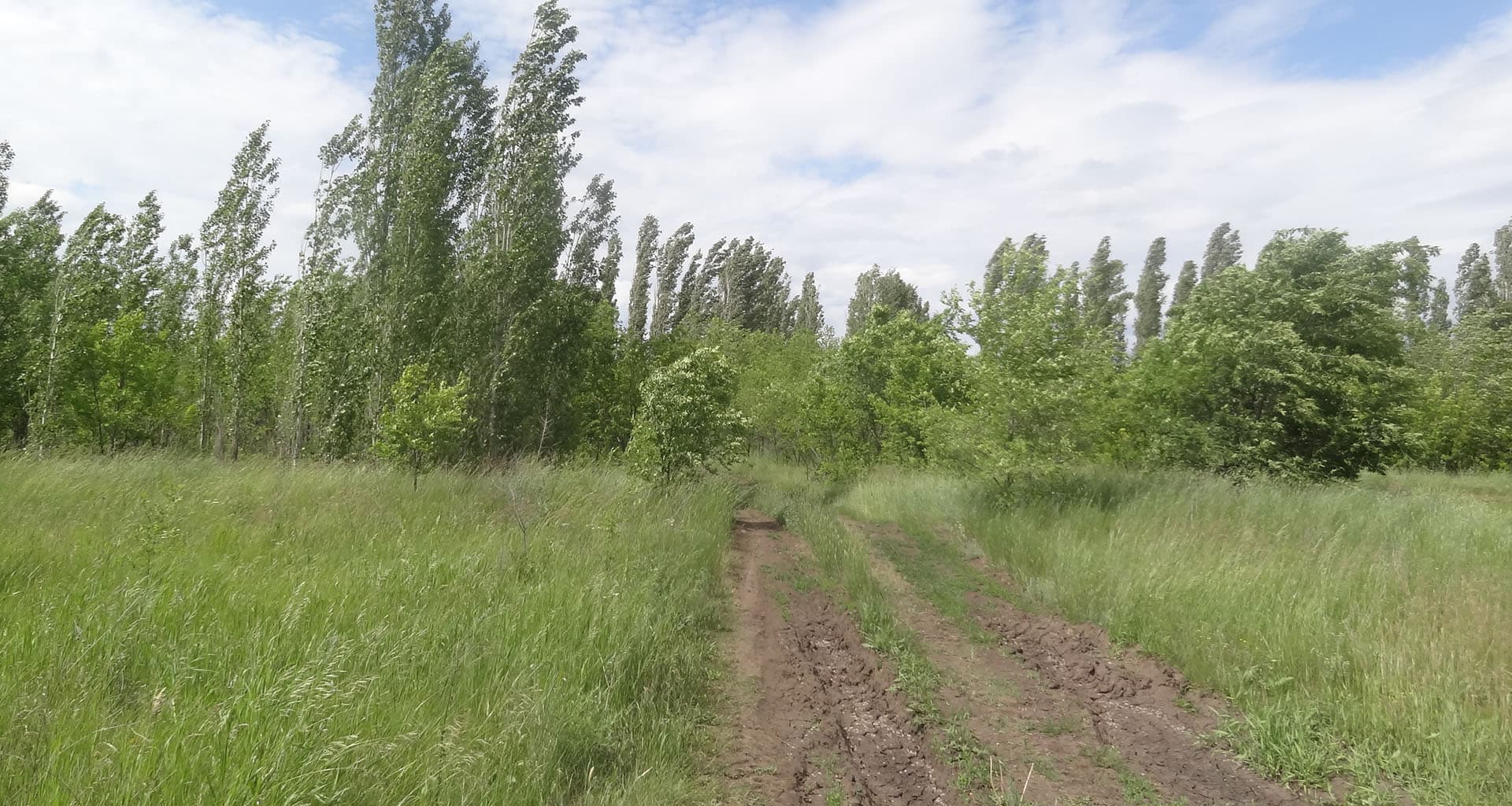 Руины лагеря "Энтузиаст"