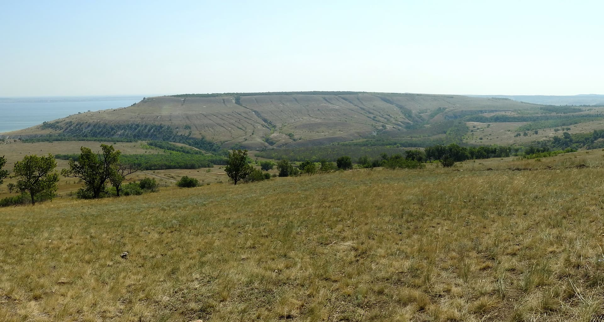 Дурман гора