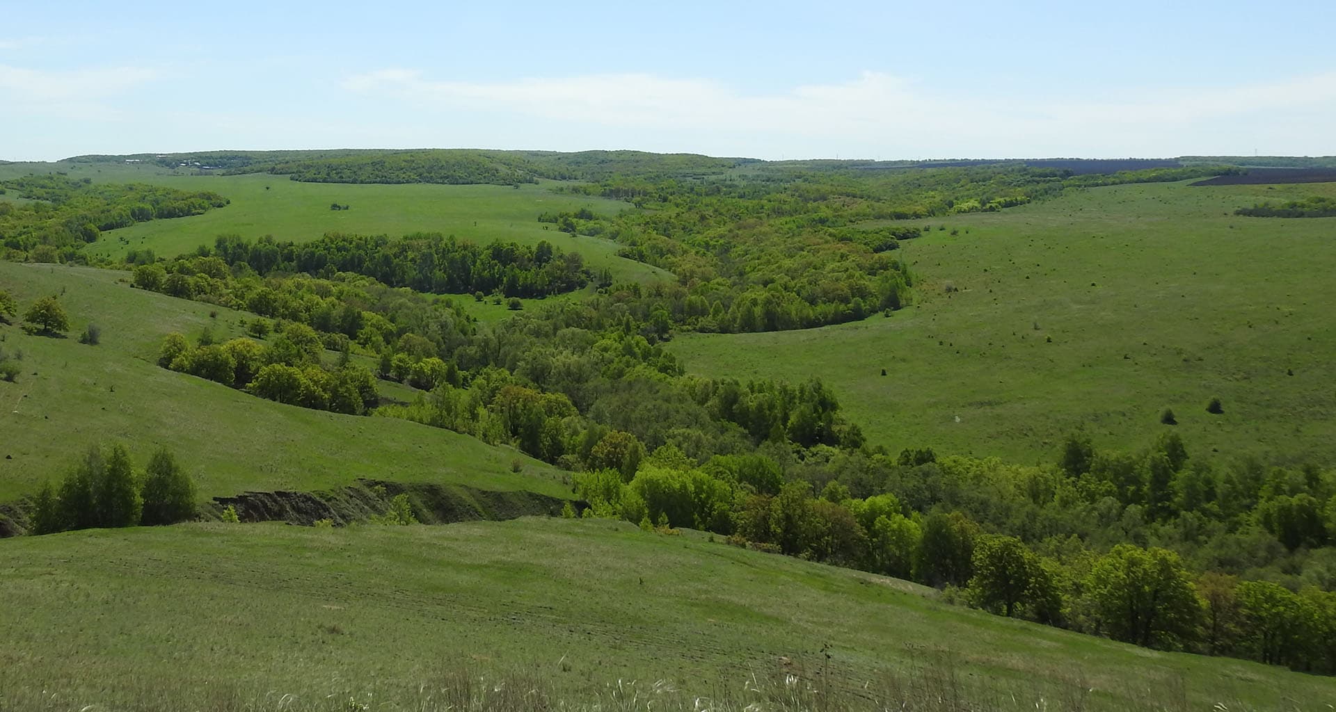 Река Курдюм